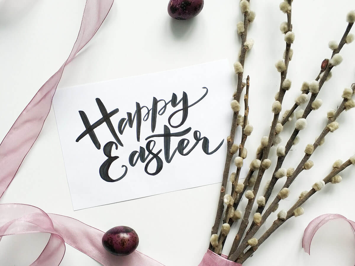 Lesson 1: Basics Of Photography With Natural Lighting