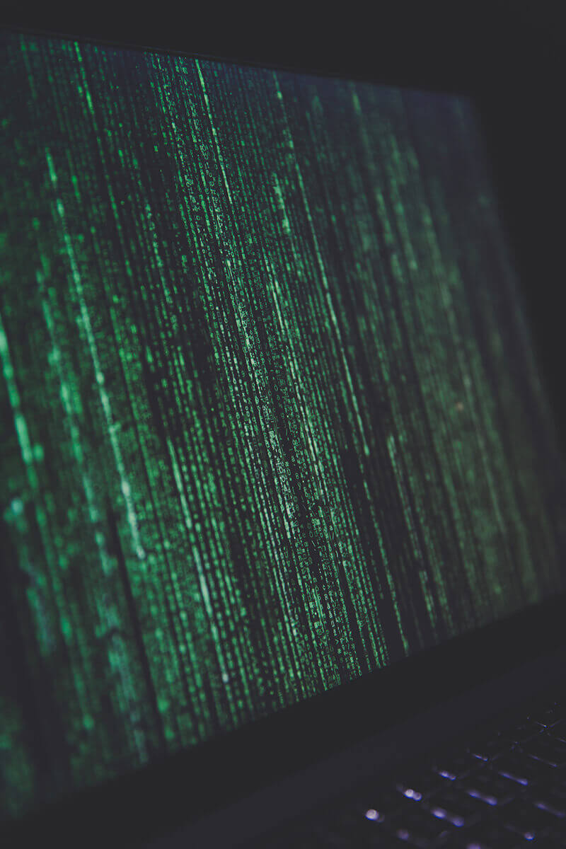 Best Cameras To Choose From In 2019