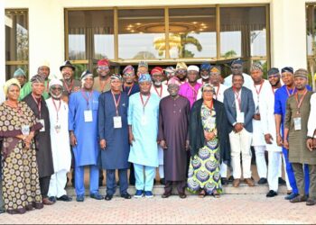 Akande panel Overruled as Tinubu meets Obasa, Meranda other Lawmakers – Report Emerges