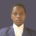 DEMOCRACY ON TRIAL: A LEGAL REFLECTION ON 25+ YEARS OF CIVILIAN RULE IN NIGERIA