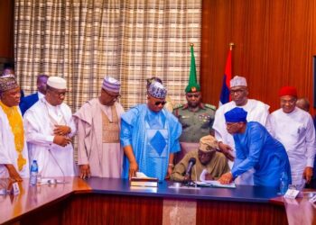 What Benefits Tinubu’s New Tax Laws Mean for Nigerians and Businesses?