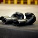 American Sentenced to Life for Murder of Nigerian Boxer