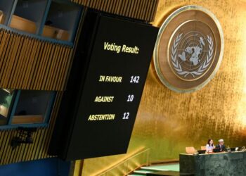 Israel-Palestine: 138 Nations Back Two-State Solution at UN (Full List)