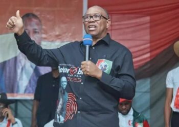Peter Obi: Yahoo Boys Are Geniuses Who Need Redirection, Not Condemnation