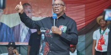 Peter Obi: Yahoo Boys Are Geniuses Who Need Redirection, Not Condemnation