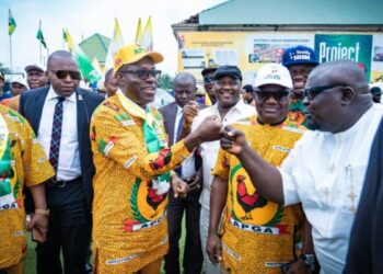 Soludo re-elected as Anambra Governor, Wins All LGAs