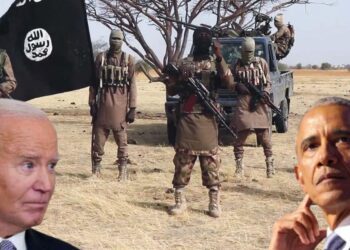 US Congressman Accuses Obama, Biden of Using USAID to Fund Boko Haram