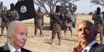 US Congressman Accuses Obama, Biden of Using USAID to Fund Boko Haram