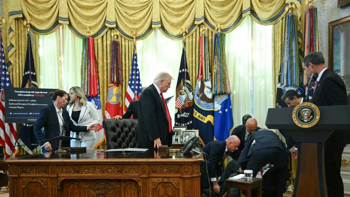 Panic as Guest Faints beside Trump during White House Event