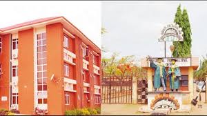offa poly: lecturer alleges rector of sleeping with his wife, seeks divorce