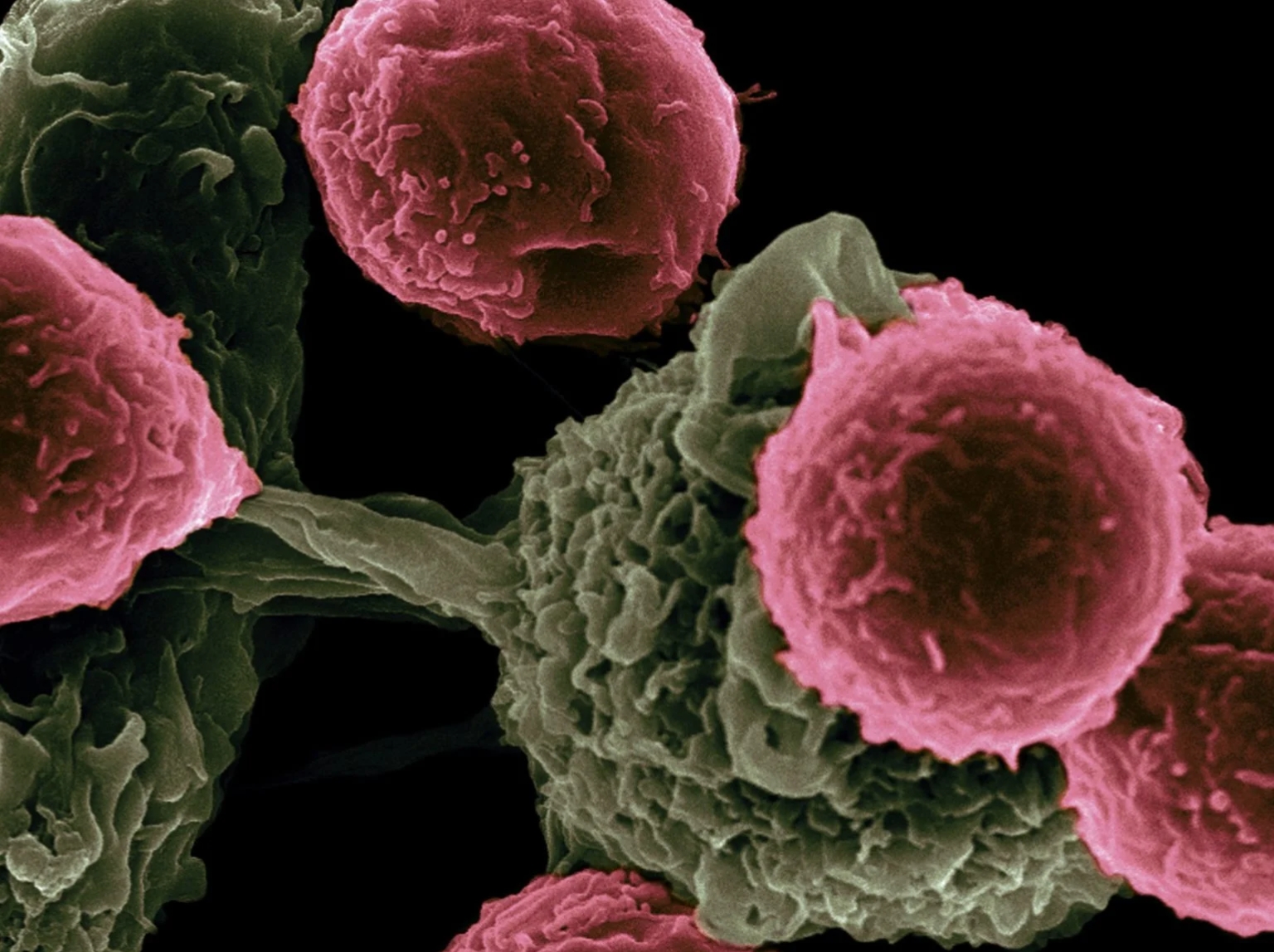 img 20260112 125708 418