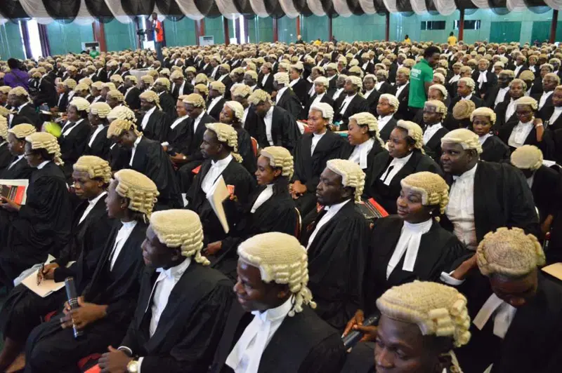 nigerian lawyers